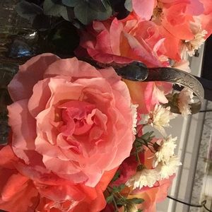 Meet your Posher, Carisa